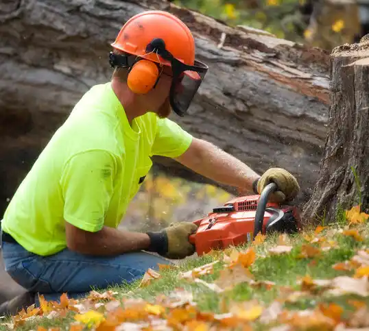 tree services Upsala